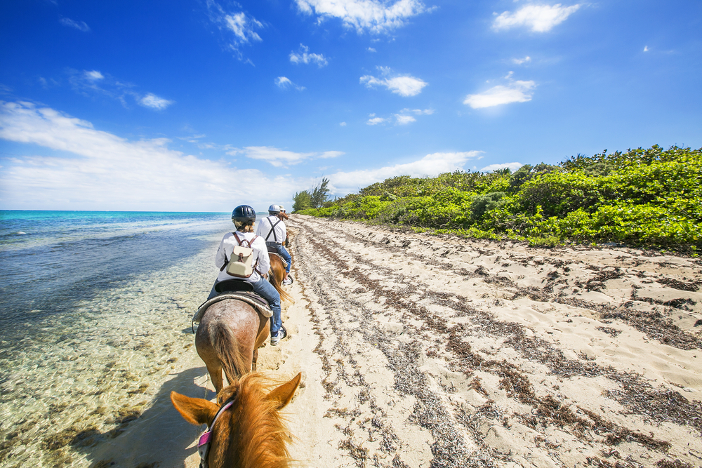 Horse riding in the coastal area